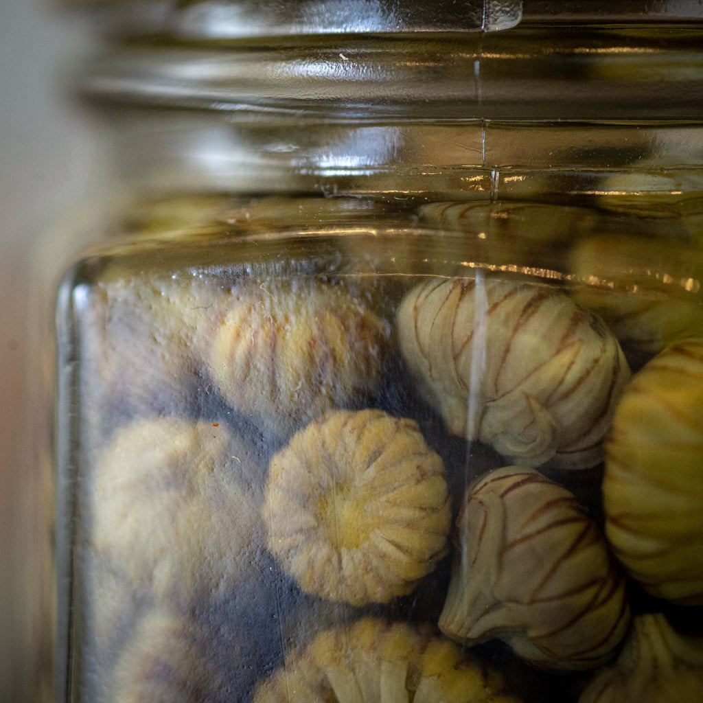 Boutons de marguerite